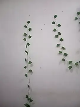 Taniya-2025's sex show image