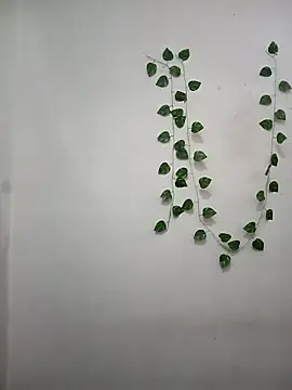 Изображение секс-шоу модели Landkipyasibhabhi