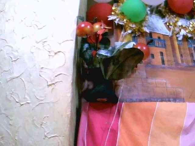 Sexshow-Bild von Urcule