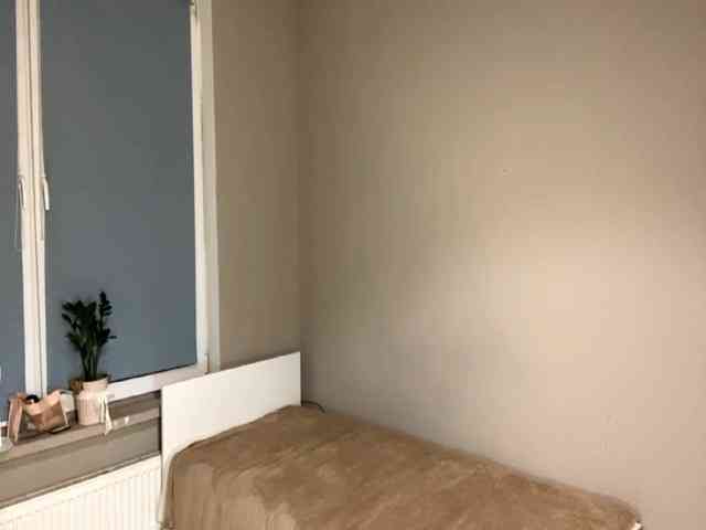 ZoeLecain's sex show image