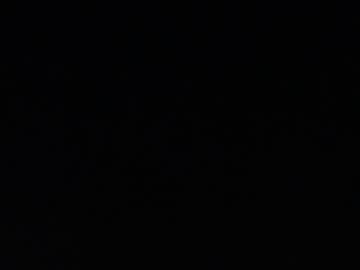 Изображение секс-шоу модели licablack
