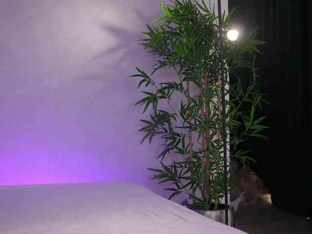 Изображение секс-шоу модели ArtTeasee