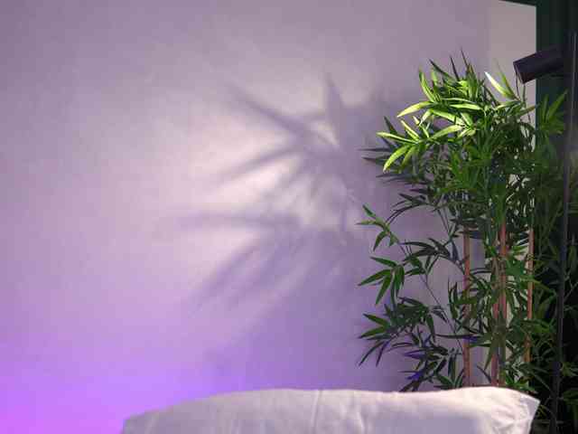 ArtTeasee's sex show image