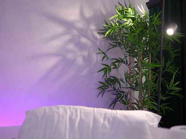 ArtTeasee's sex show image