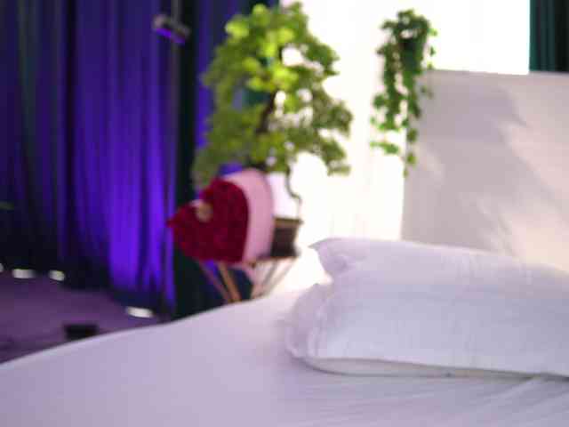 ArtTeasee's sex show image