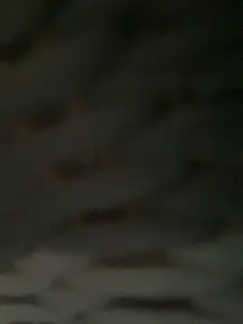 Nottella's sex show image