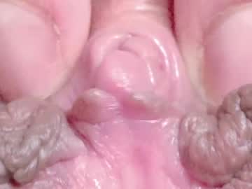 Sexshow-Bild von orchidekitty