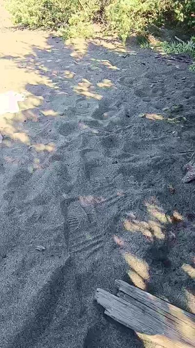 milferotika's sex show image milferotika's sex show image