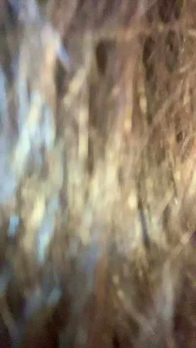 Sexshow-Bild von ZoeBlanc Sexshow-Bild von ZoeBlanc