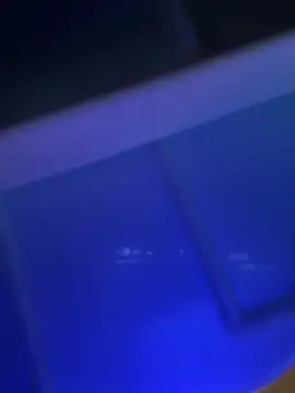 Ahlam7578's sex show image