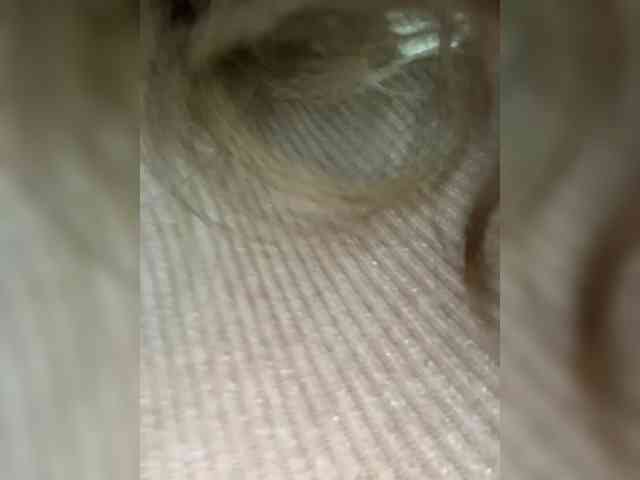 Изображение секс-шоу модели YuliyaLasker Изображение секс-шоу модели YuliyaLasker