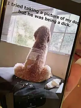 IsabellaEtthan's sex show image