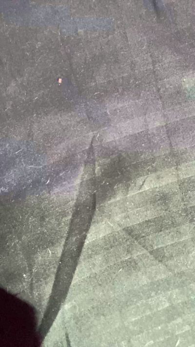 Изображение секс-шоу модели annabellelover_ Изображение секс-шоу модели annabellelover_