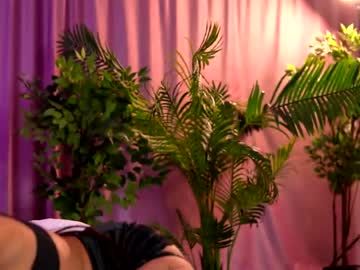 lalaroze's sex show image
