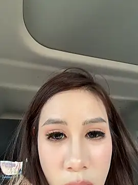 AAi-0329's sex show image