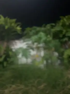 Sexshow-Bild von sahorix1