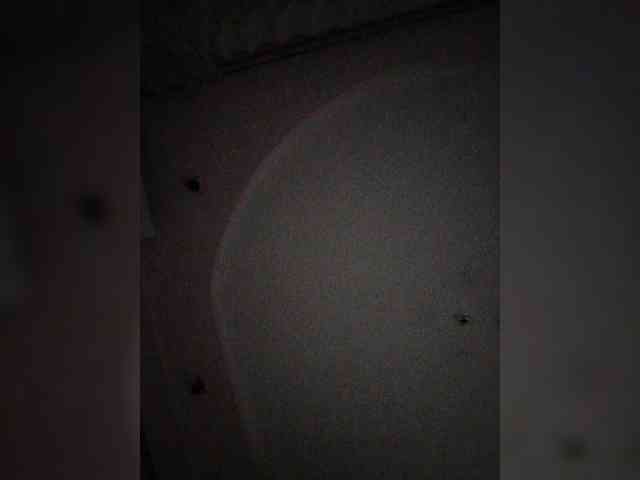 Lana503's sex show image Lana503's sex show image