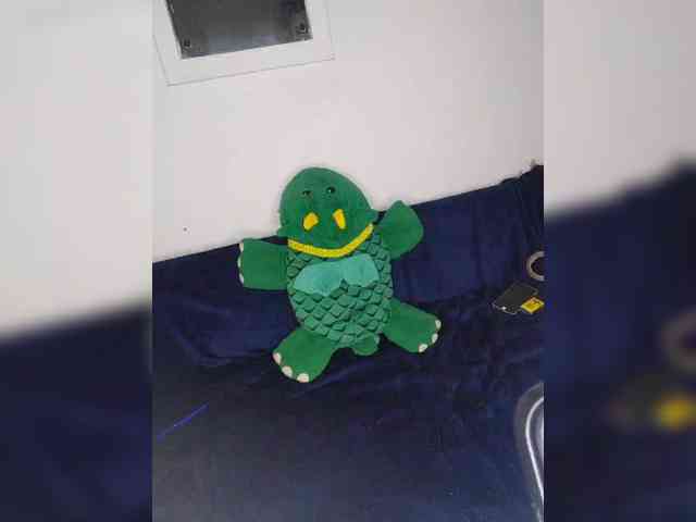 Sexshow-Bild von CleavageKING