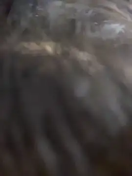 Im-Ali's sex show image