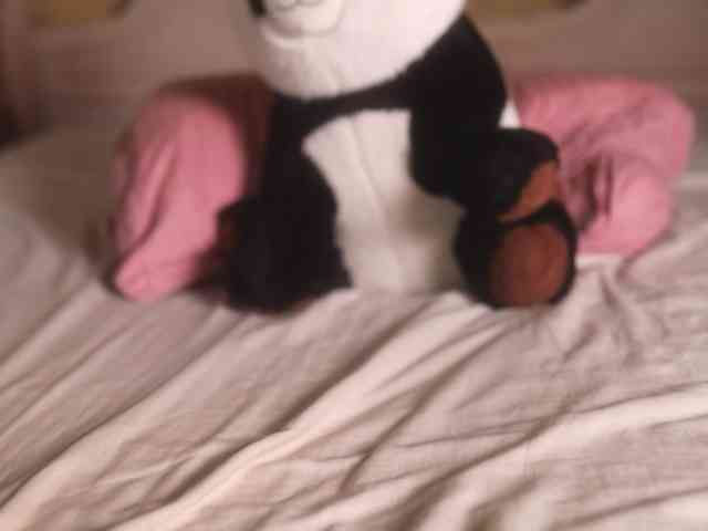 suzysuz's sex show image