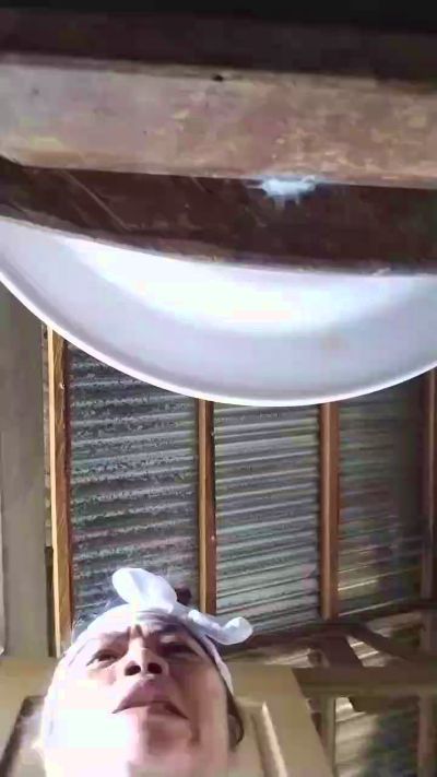 Sexshow-Bild von StarLadyxxx