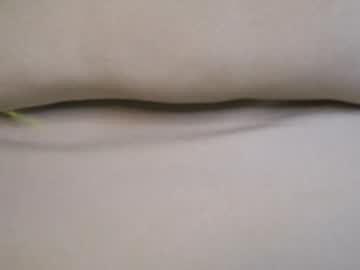 megan_dolly777's sex show image megan_dolly777's sex show image