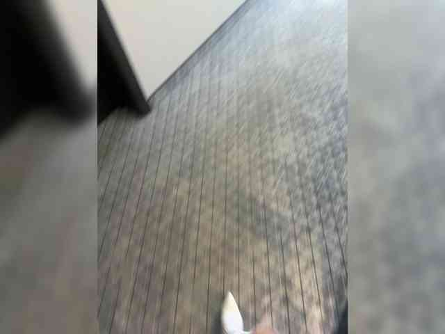 aniram2221's sex show image