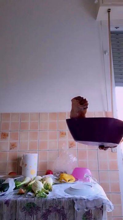 Sexshow-Bild von mariaperla Sexshow-Bild von mariaperla