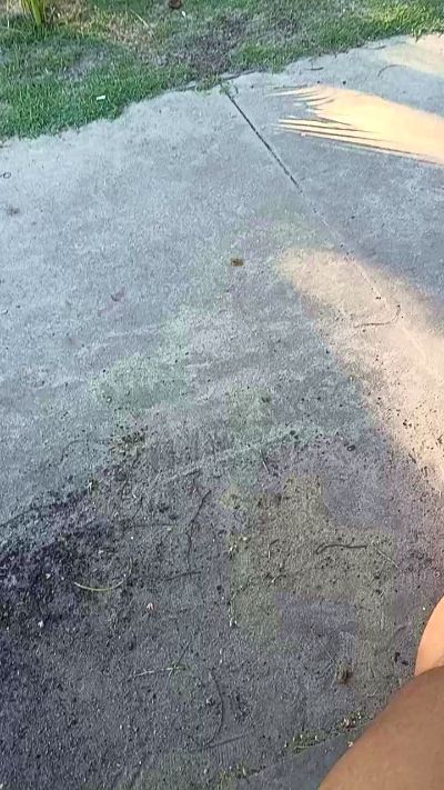 pregnanhot's sex show image