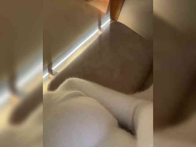 Изображение секс-шоу модели sweetkira25