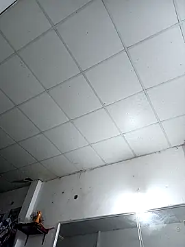 Sexshow-Bild von Rose_DiDi