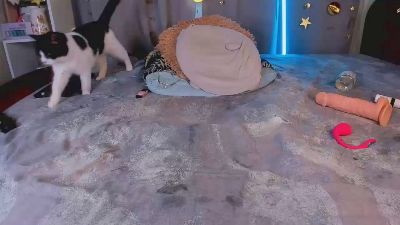 Sexshow-Bild von Jess_Lui