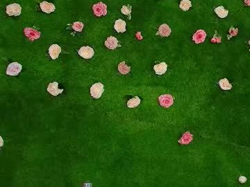 megatitts_'s sex show image