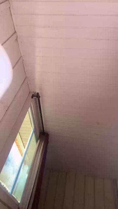 Sexshow-Bild von Pretoona