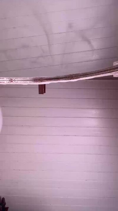 Sexshow-Bild von Pretoona