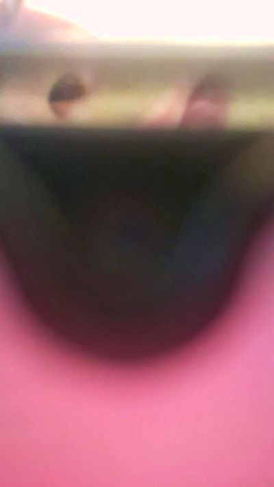 Изображение секс-шоу модели roses_sexy