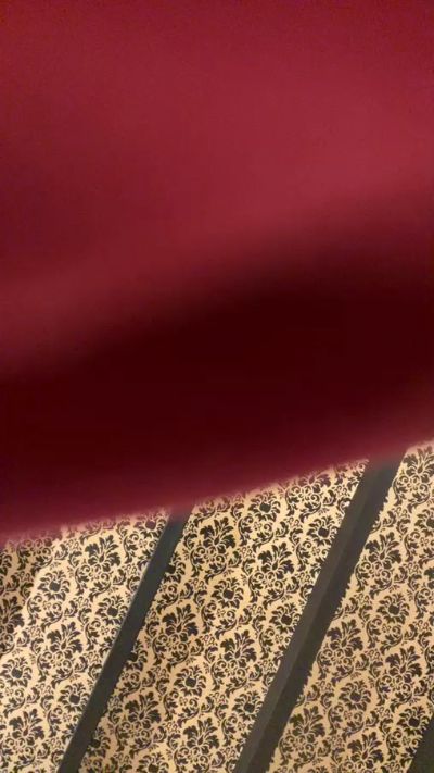 saraangelafern1's sex show image