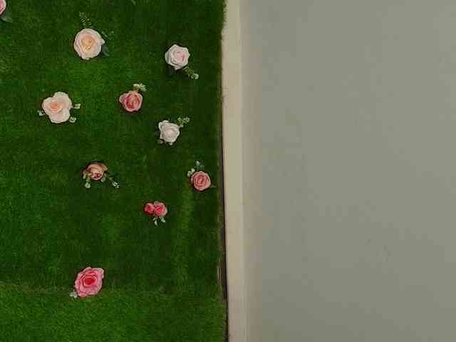 HugeTittiess's sex show image