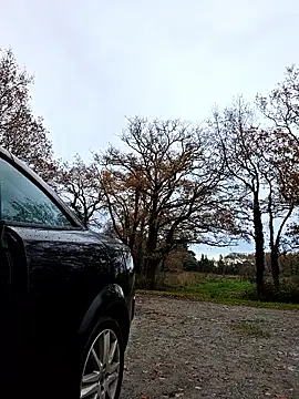 Sexshow-Bild von Ladykimberly_XOXO Sexshow-Bild von Ladykimberly_XOXO