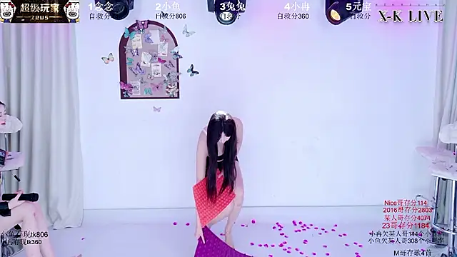 Изображение секс-шоу модели XK-2005