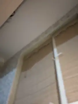 Изображение секс-шоу модели MissDasha Изображение секс-шоу модели MissDasha