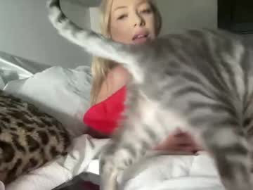 brandins04's sex show image
