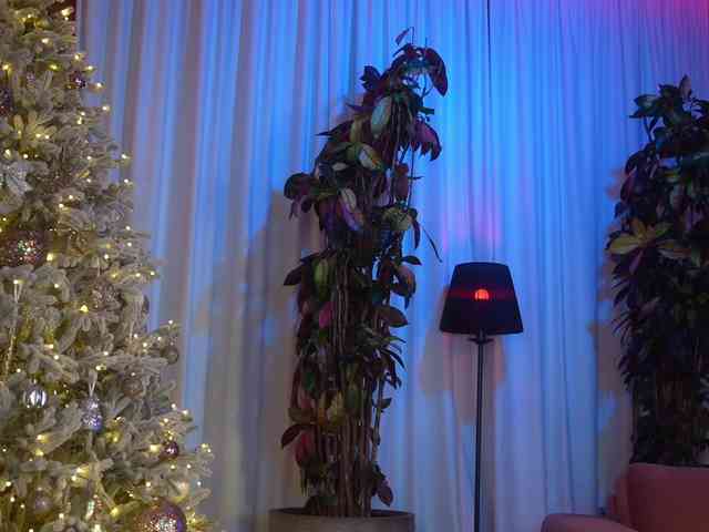 EvaFashionista's sex show image EvaFashionista's sex show image