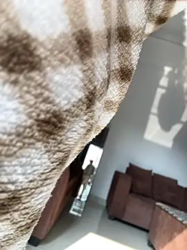 HeerStd's sex show image