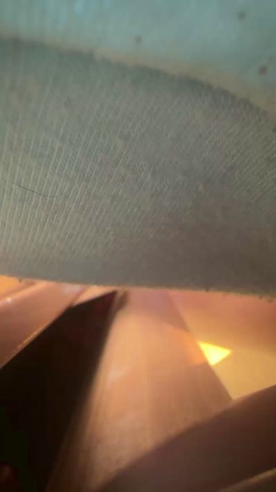 Sexshow-Bild von AngelinaKis