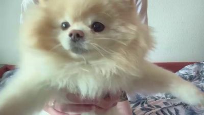 Sexshow-Bild von MarioHizer Sexshow-Bild von MarioHizer