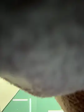 eveangelll's sex show image