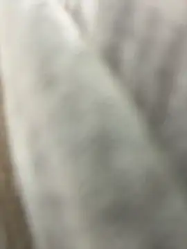 eveangelll's sex show image