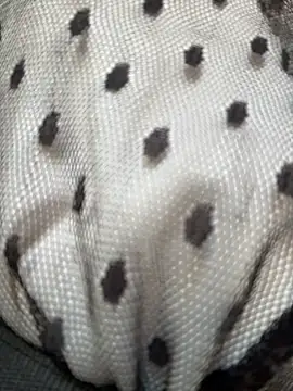 eveangelll's sex show image