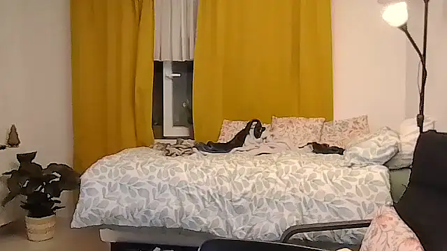 belgianshantie's sex show image